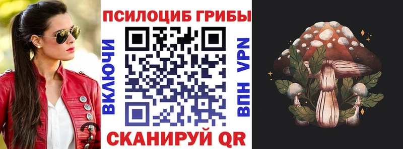купить наркотик  Волчанск  Псилоцибиновые грибы MAGIC MUSHROOMS 