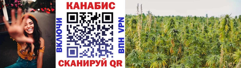 Марихуана Amnesia  Волчанск 